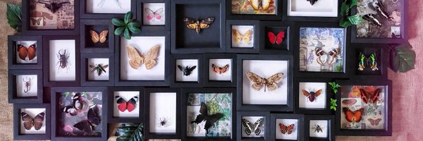 soozebat Profile Banner