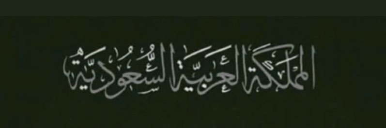 ساره 🇸🇦 banner