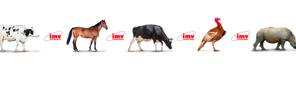 imvtechnologies Profile Banner