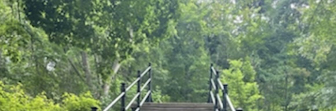 Jennifer O’Neill-Riggs banner