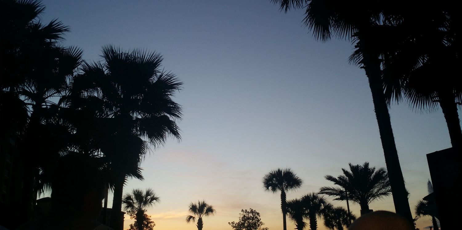 prettyboi_probs's profile banner image