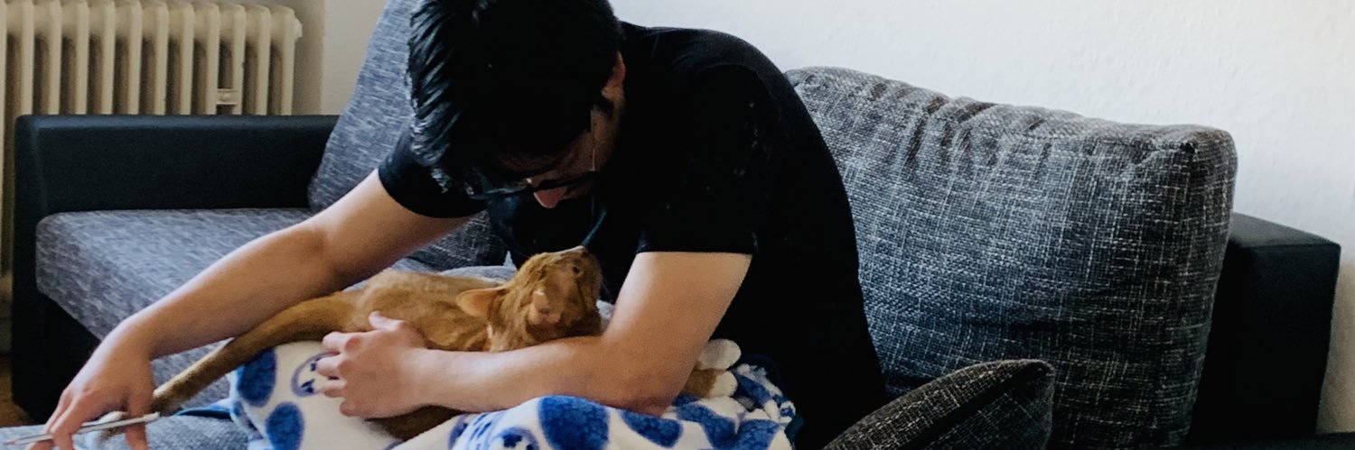 lizzmv17's profile banner image