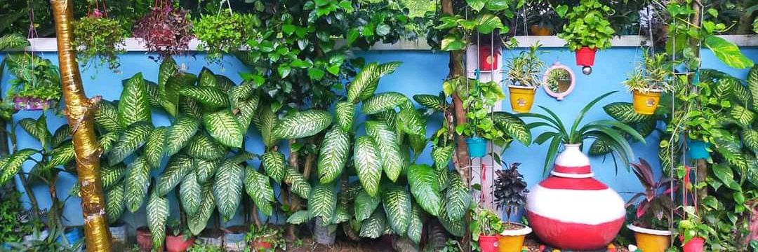 chandasmita_8's profile banner image