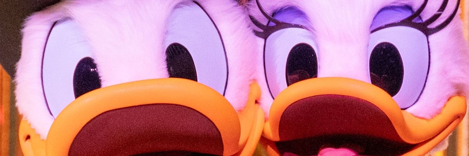 楽ちん頭のきんき banner