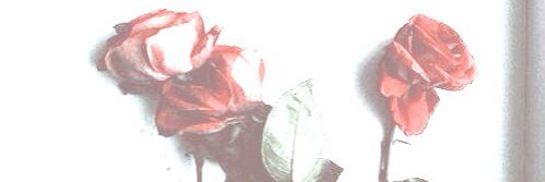 _mkyoq's profile banner image