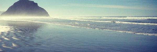 AndersenRonalee Profile Banner