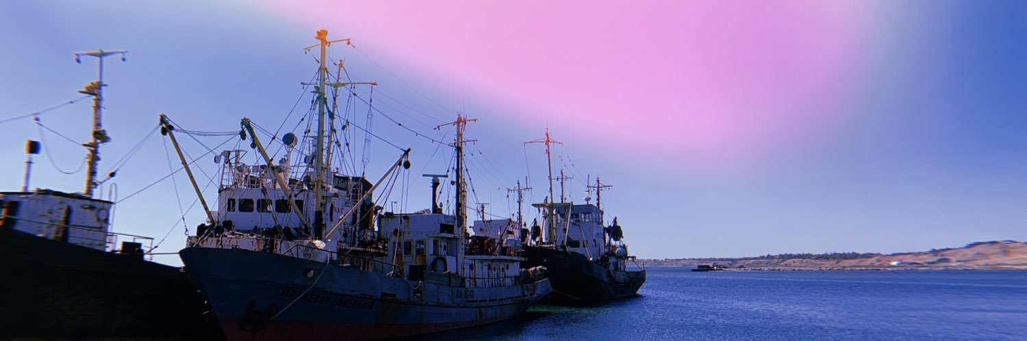 Adrian Vendiola banner