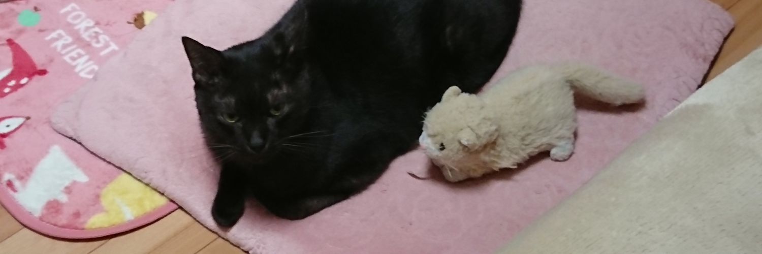 pretty_ryo's profile banner image