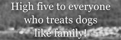 SheAintRight😉🏝️ banner