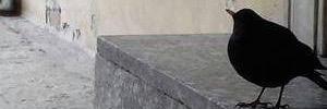 yyyyyuhi's profile banner image