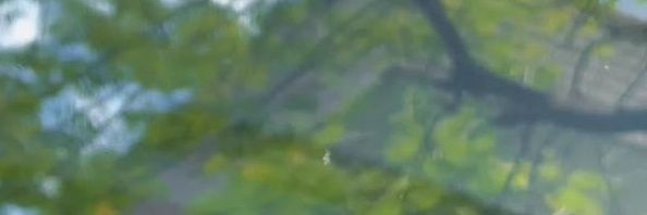 wegotrecs's profile banner image