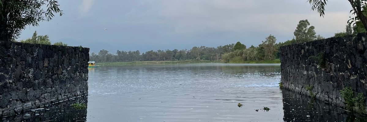 elOotee's profile banner image