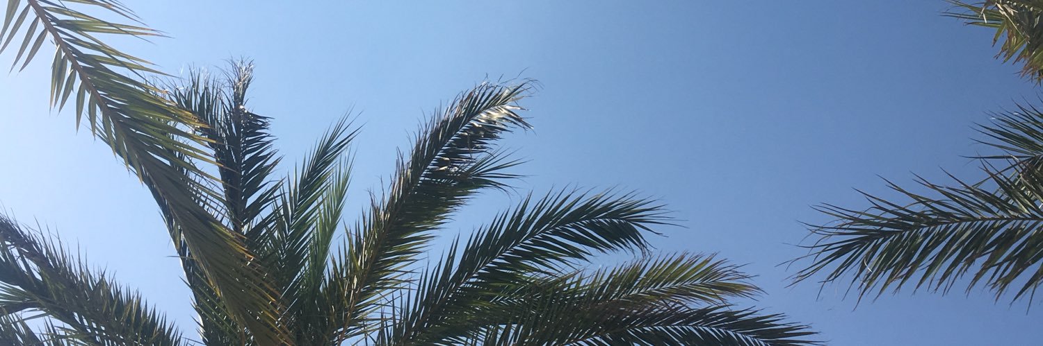 vickyyyb_'s profile banner image