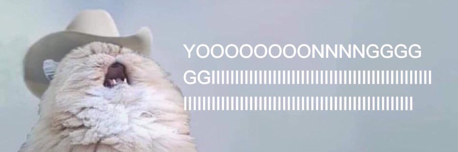 pengmeeja's profile banner image