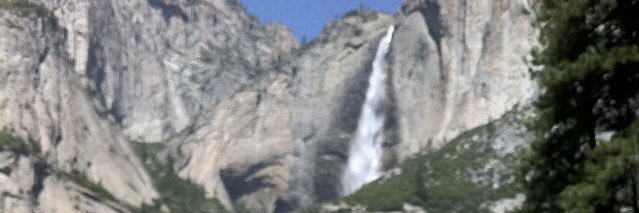 friendlybear96's profile banner image