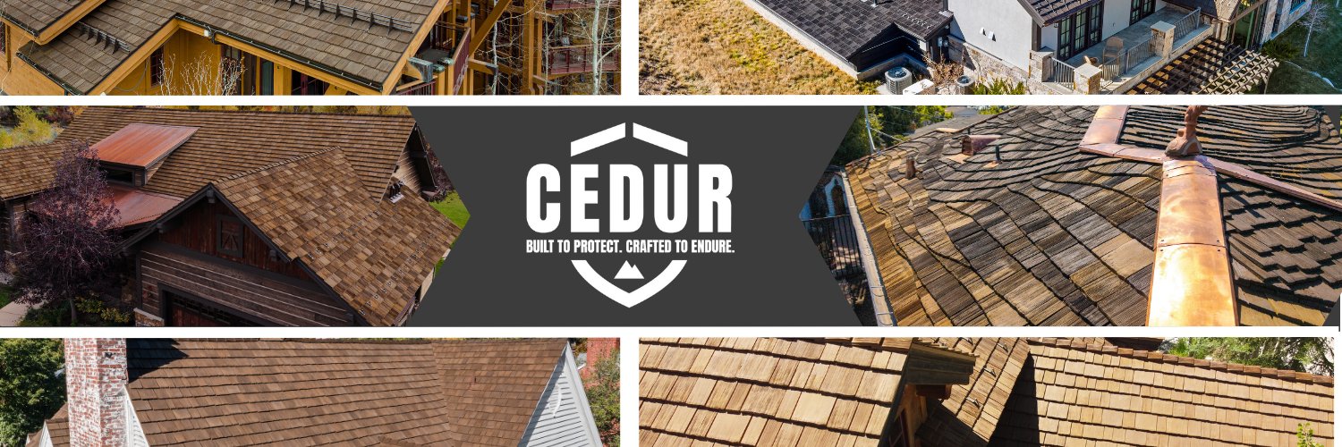 CEDUR banner
