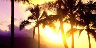CsarRyes's profile banner image