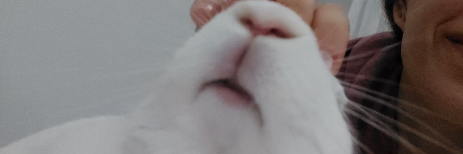 cerenyiImaz's profile banner image