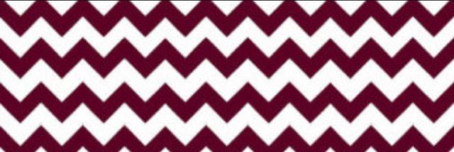 hailstate_12's profile banner image
