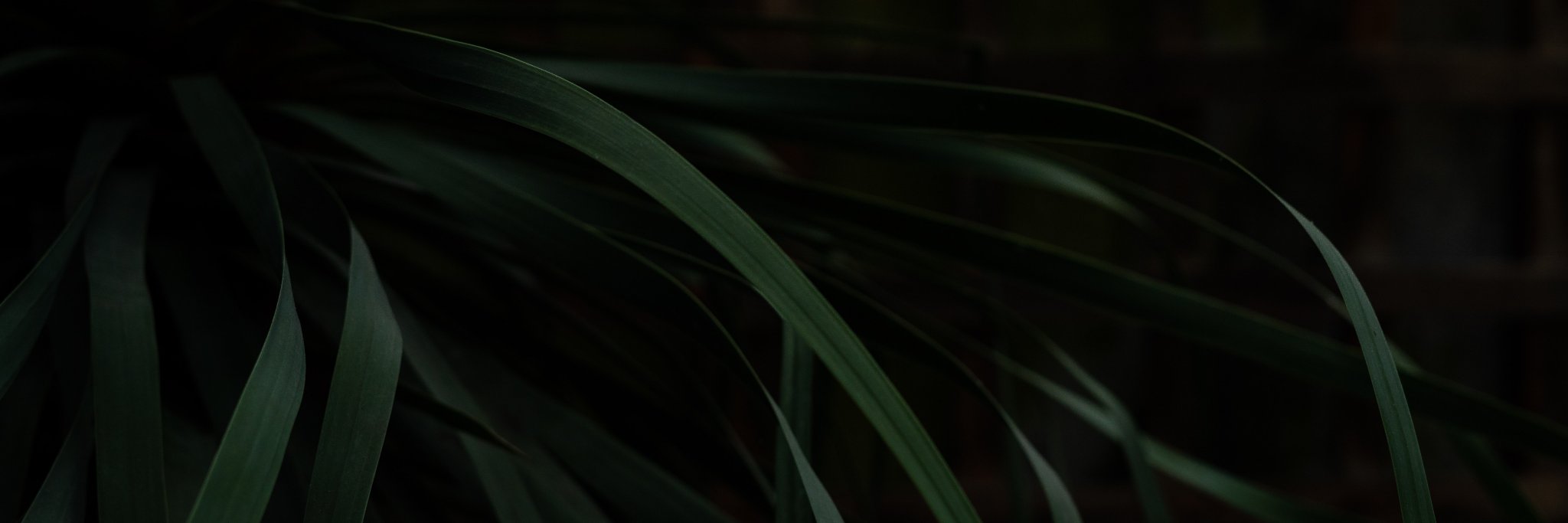 ajgeddert's profile banner image