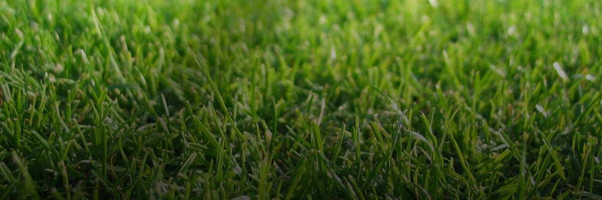 VI_Stats's profile banner image