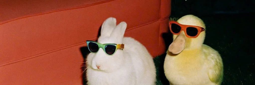 datdatdino's profile banner image