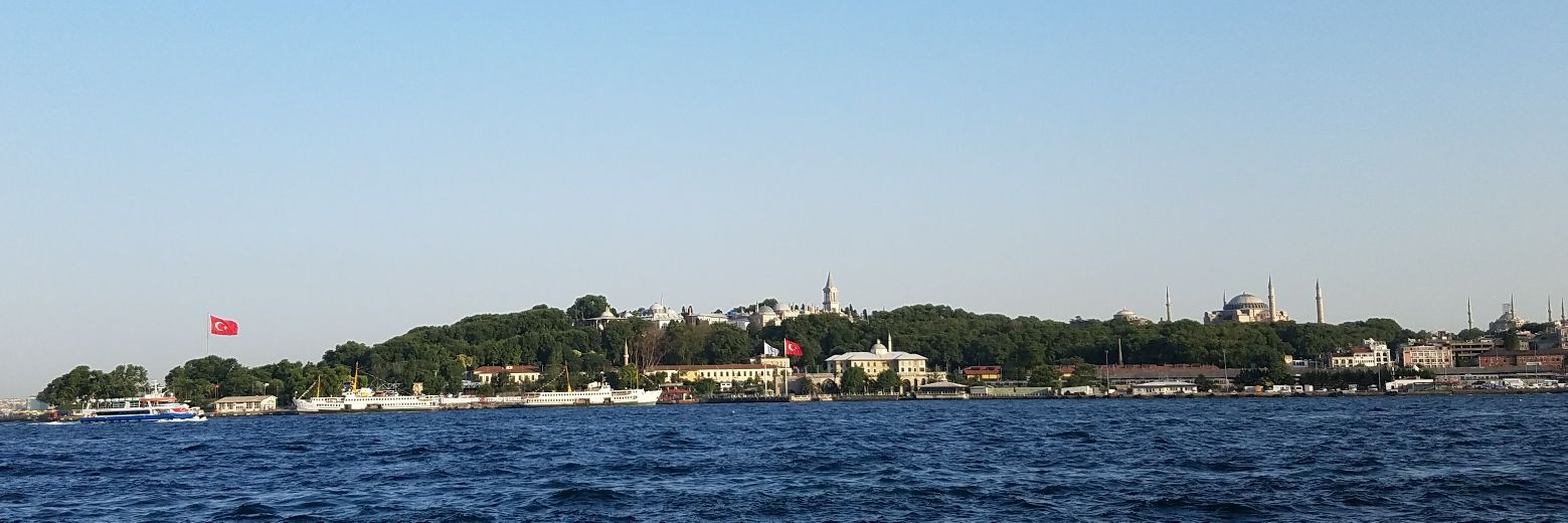 Tina Bui {she / her} banner