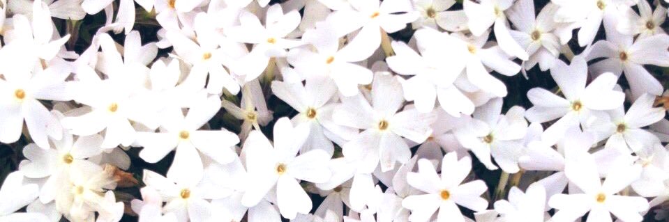 aykna21's profile banner image