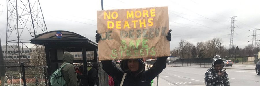 Sasha Kestane banner