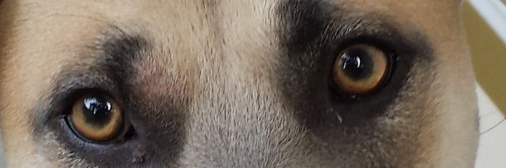 seffrtnow's profile banner image