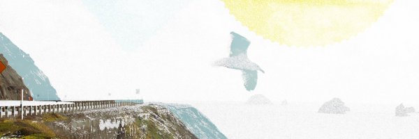 lilbeephoto Profile Banner