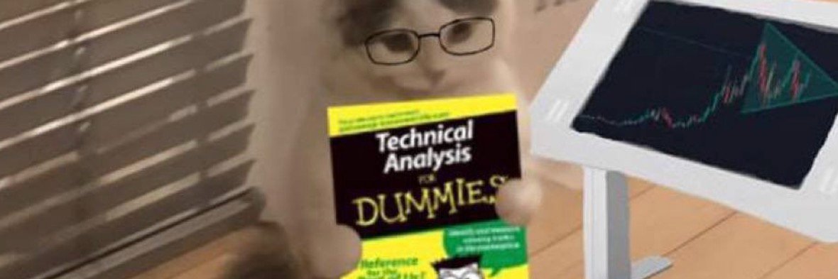 normie's profile banner image