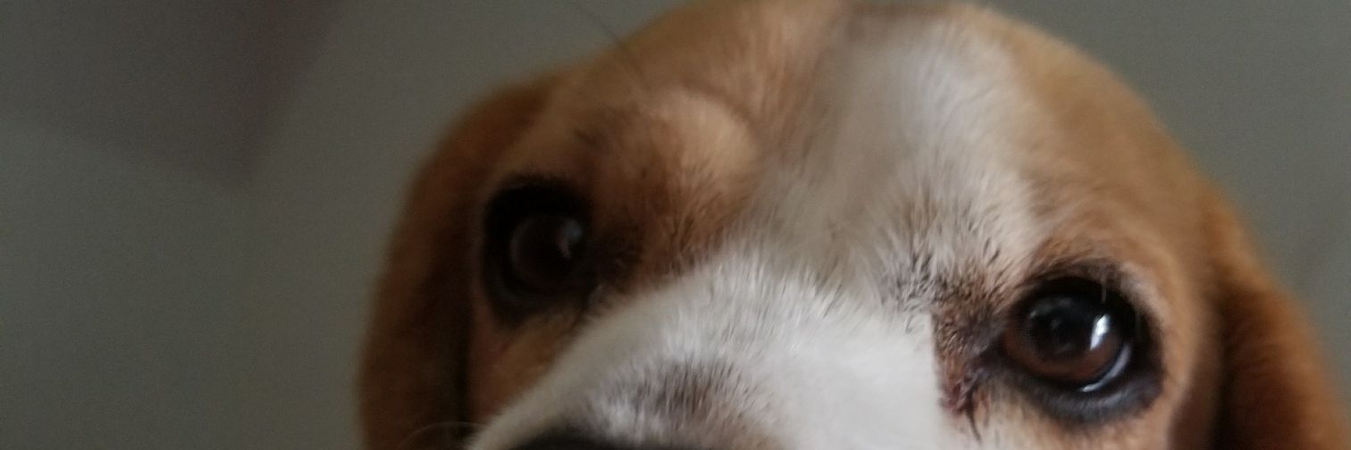 Nathan_Newb's profile banner image
