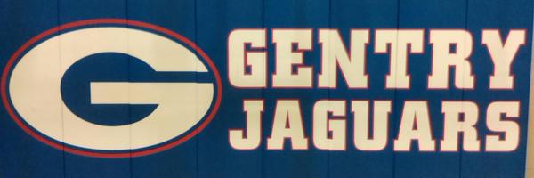 GMSJags Profile Banner