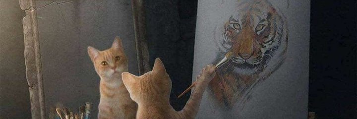 T_Phambane's profile banner image