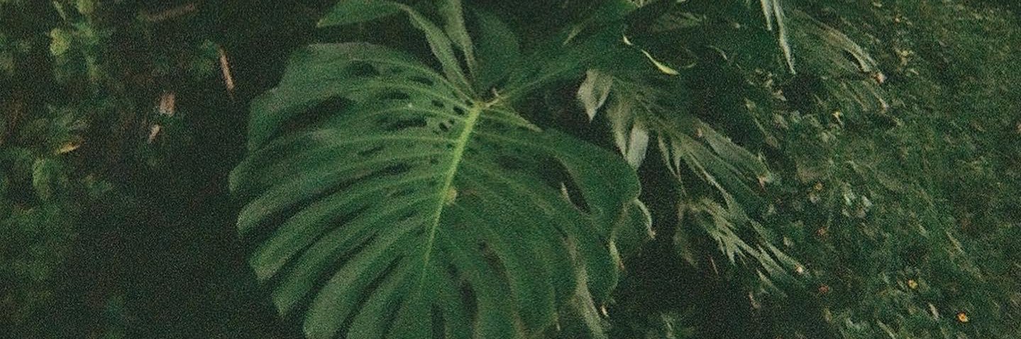 RobChianelli's profile banner image