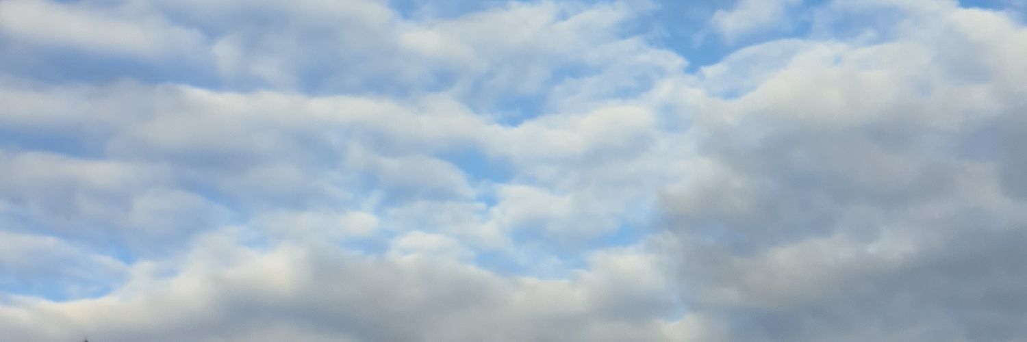 BirdOffNorth's profile banner image