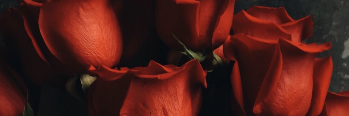 LifeAsBarb's profile banner image