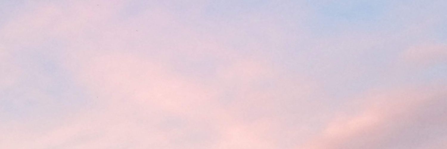 hippocampusblue's profile banner image