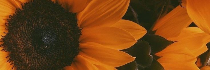 ssmedis's profile banner image