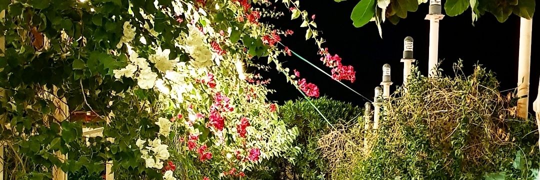 جمال يوسف شقدار banner