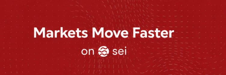 Sel_foundatiom's profile banner image