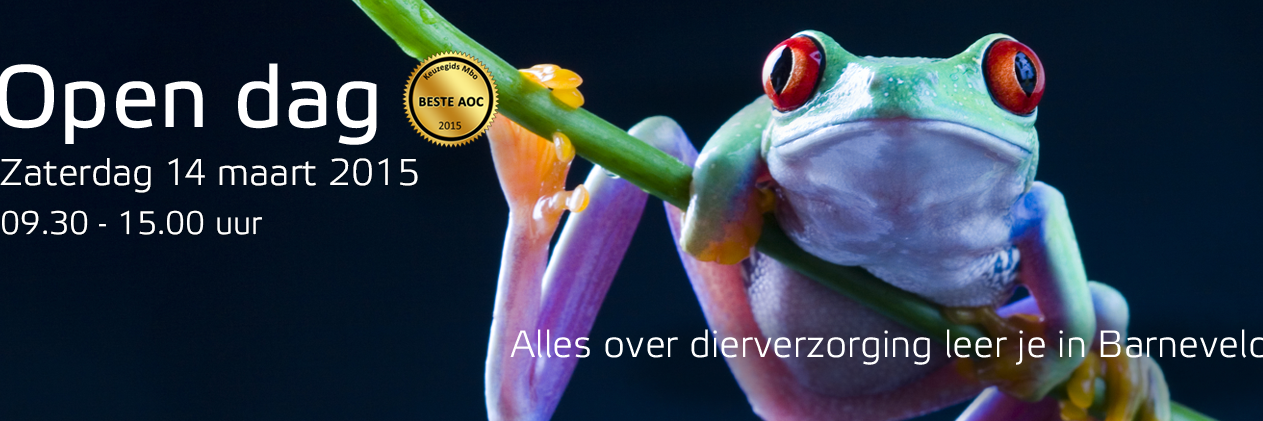Groenhorst's profile banner image
