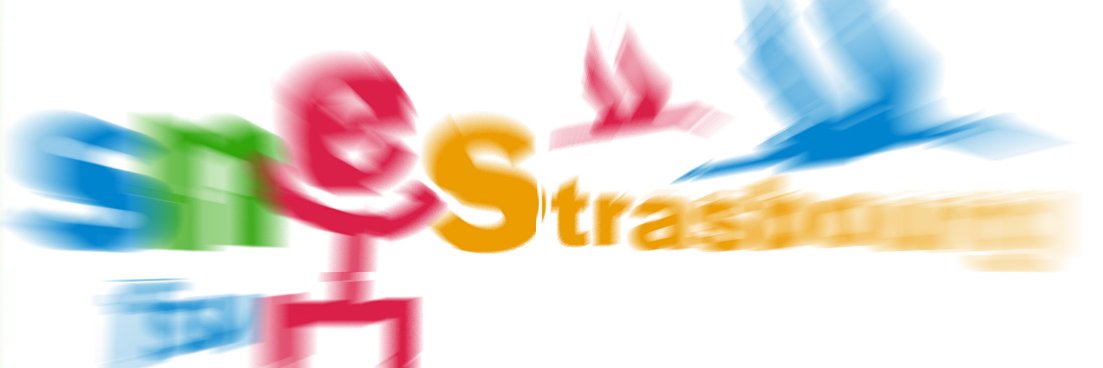 SNES_Strasbourg's profile banner image