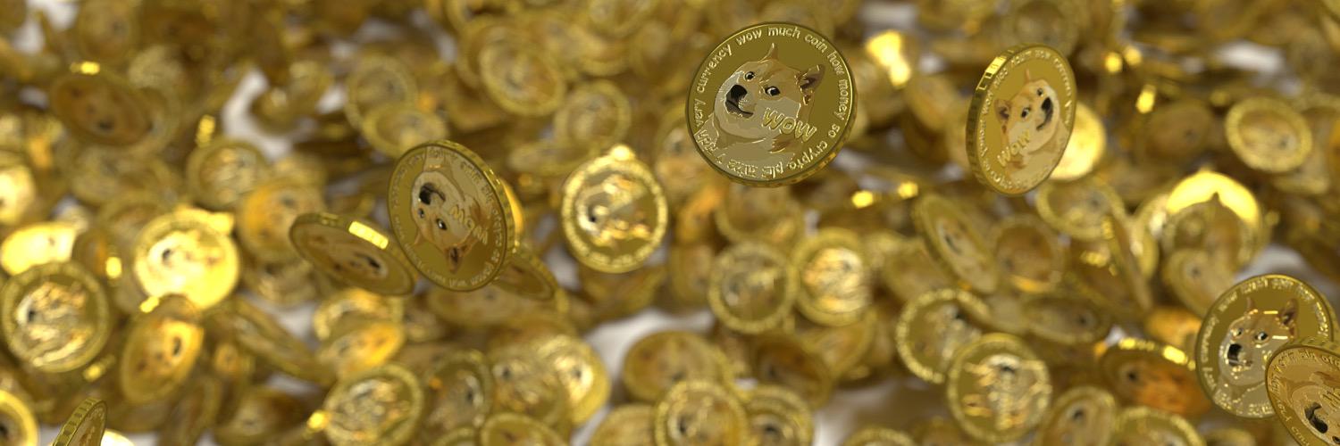 dutchdoge's profile banner image