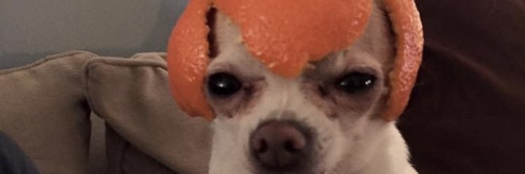ashleighpenrose's profile banner image