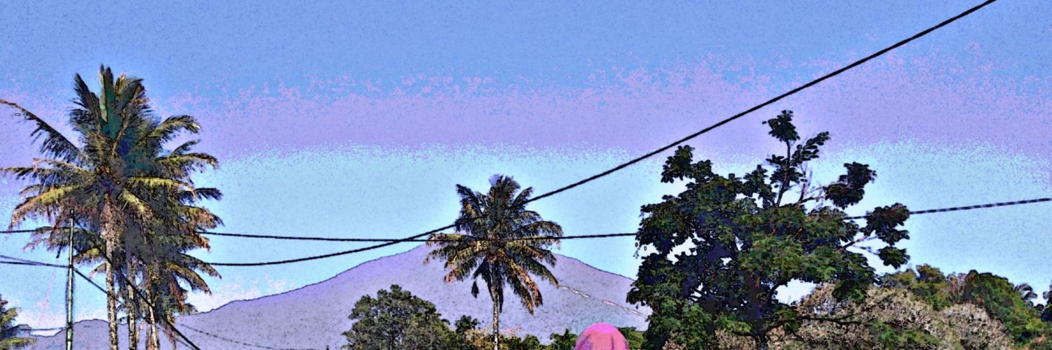 diniiii___'s profile banner image