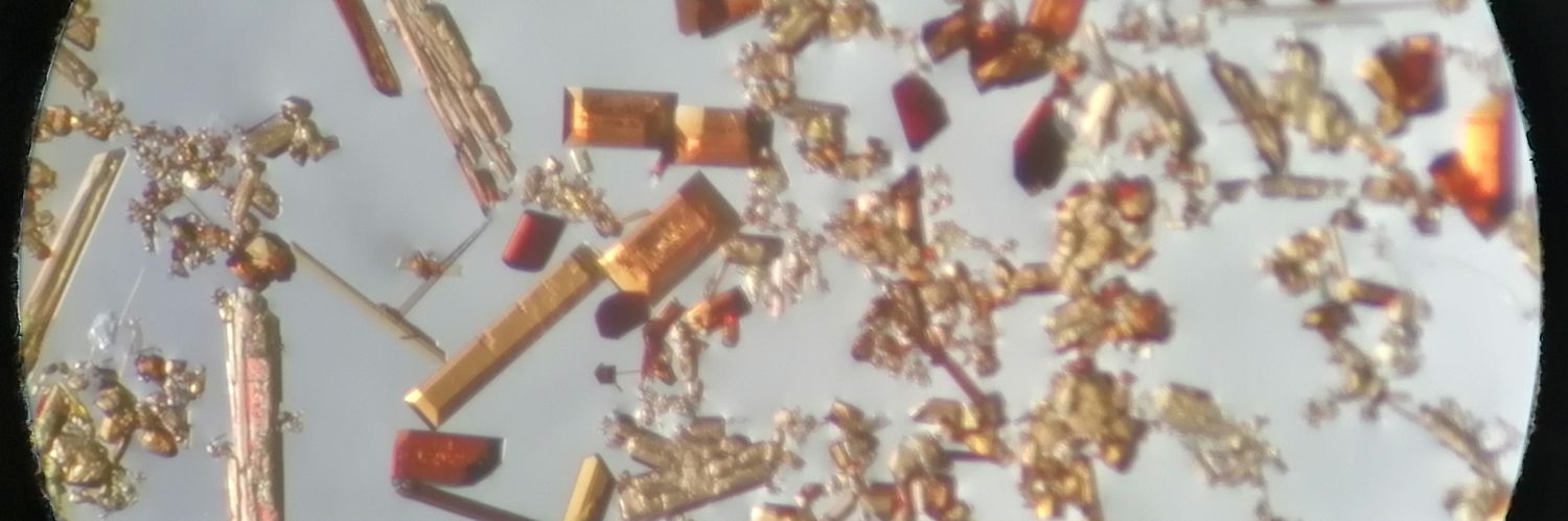 Nikola Jakupec banner