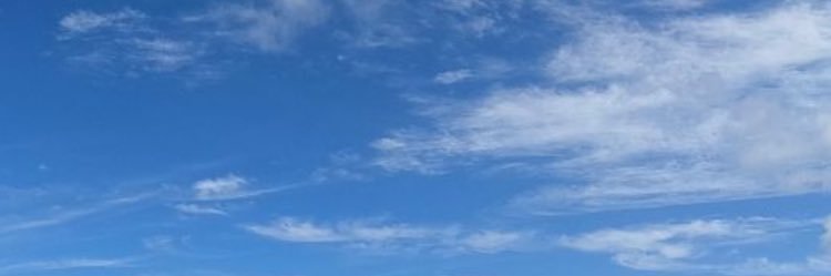 rin_y_0's profile banner image