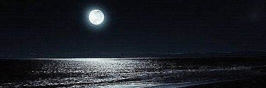 Investorjayb01's profile banner image